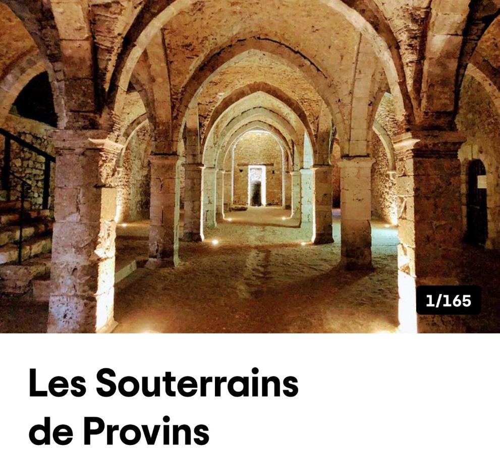 Harmonia Maison De Caractere Proche Provins Gouaix Экстерьер фото